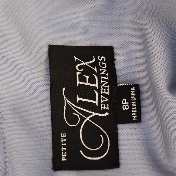 ALEX EVENINGS Long Gown Sequin Lace Bodice & Chifon Skirt, 8P - Picture 7 of 16